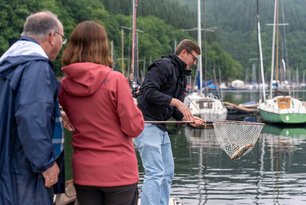 Ein stattlicher Rursee-Barsch landete in den Maschen des Keschers. image-204